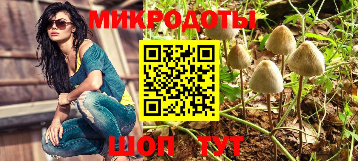 Псилоцибиновые грибы прущие грибы Свободный